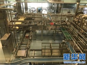 80 是森林湖泊 探訪江中制藥的智能化生態工廠